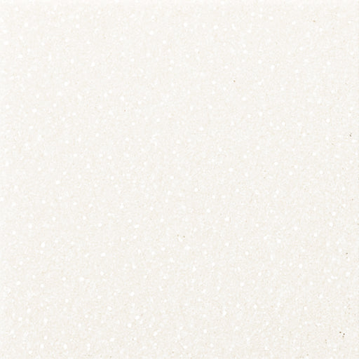 Foamy Escarchado 1/8 Económico