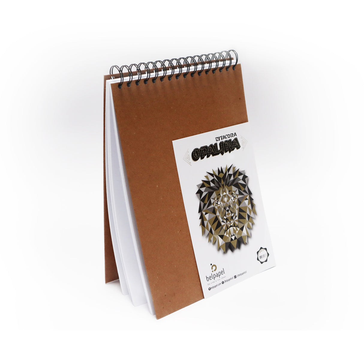 Bitácora Argolladas Opalina