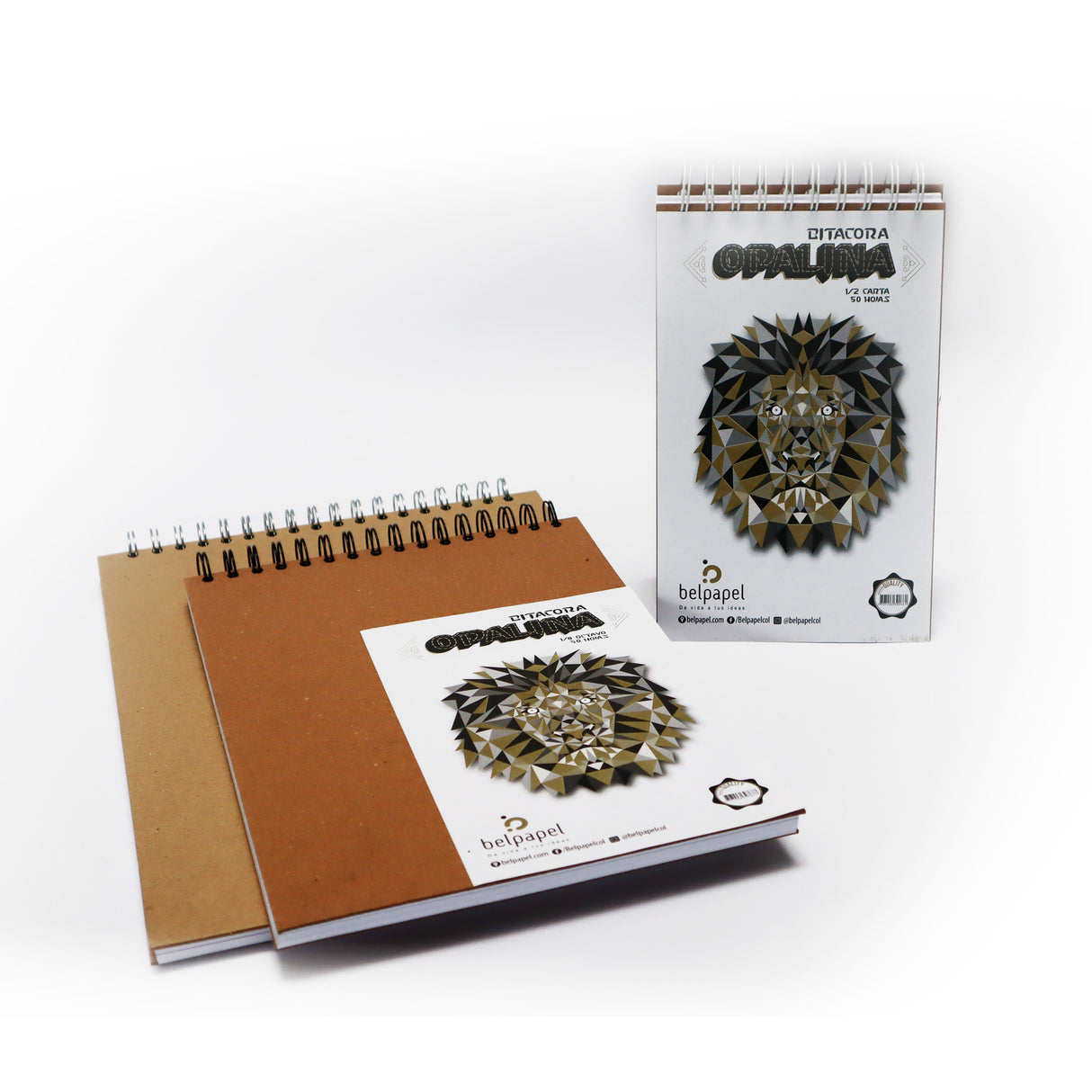 Bitácora Argolladas Opalina