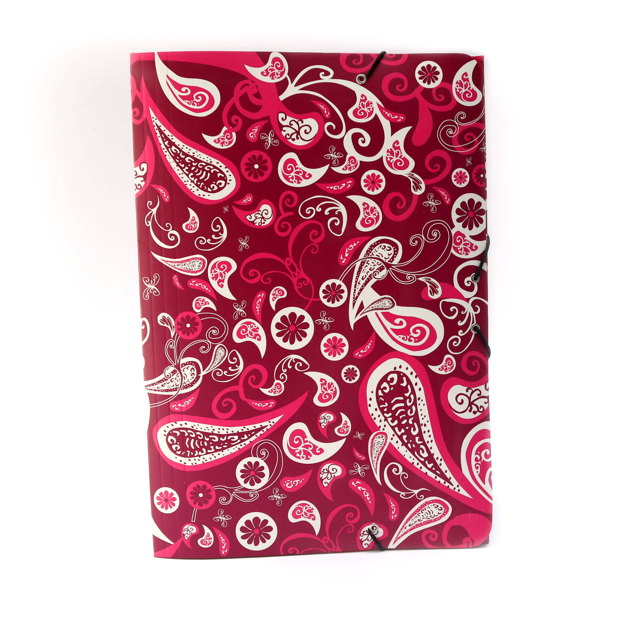 Carpeta Resorte Diseños Octavo