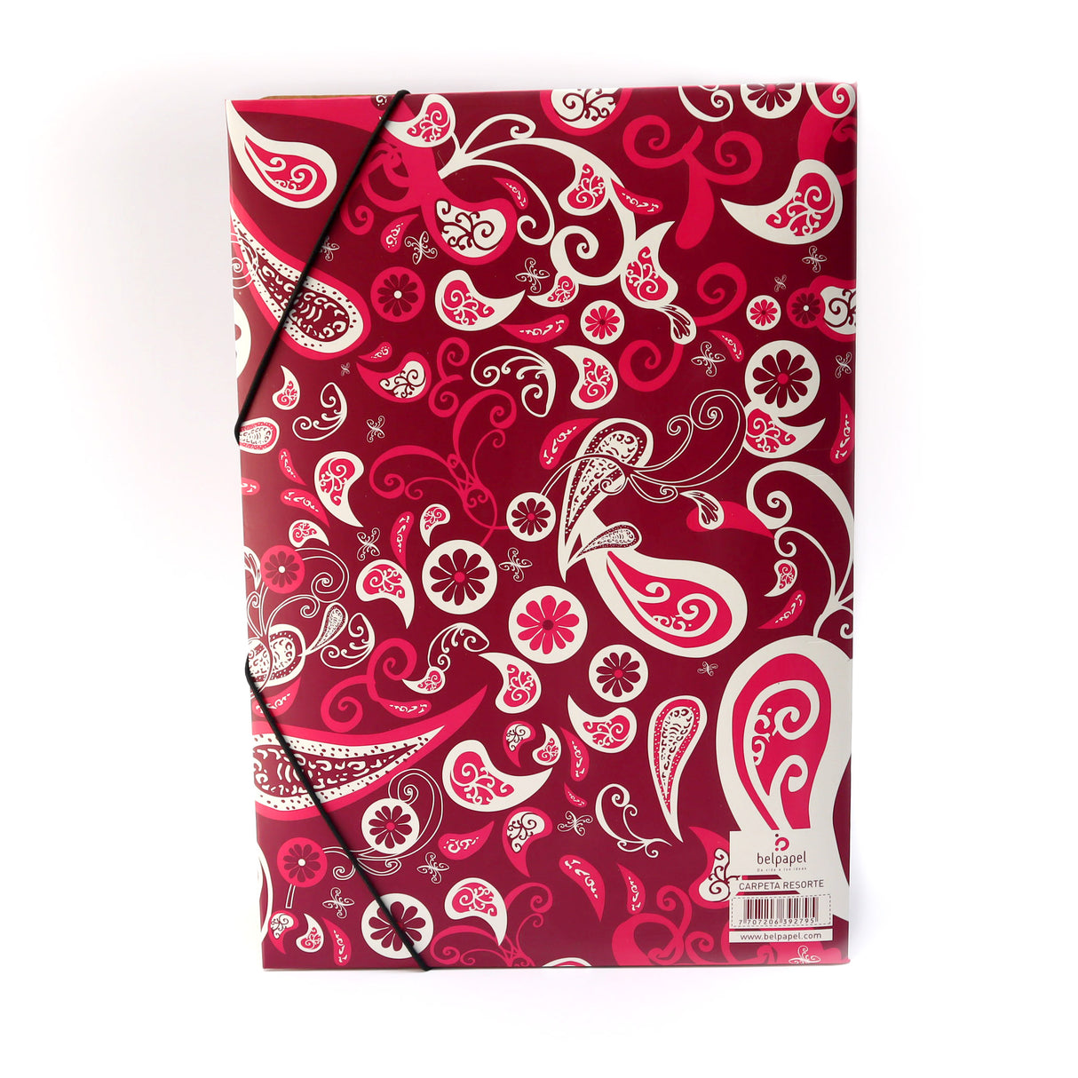 Carpeta Resorte Diseños Octavo