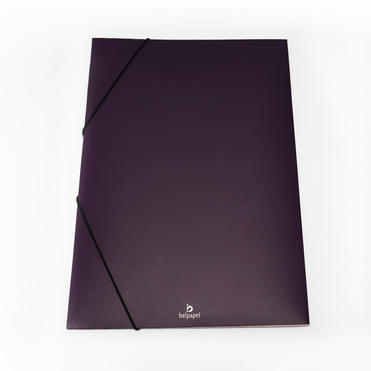 Carpeta Resorte Colores Octavo