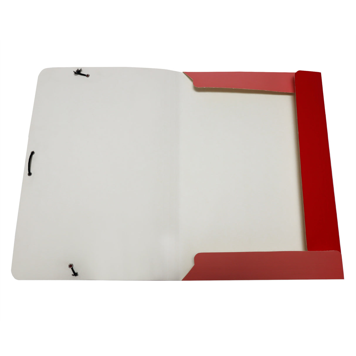 Carpeta Resorte Colores Octavo