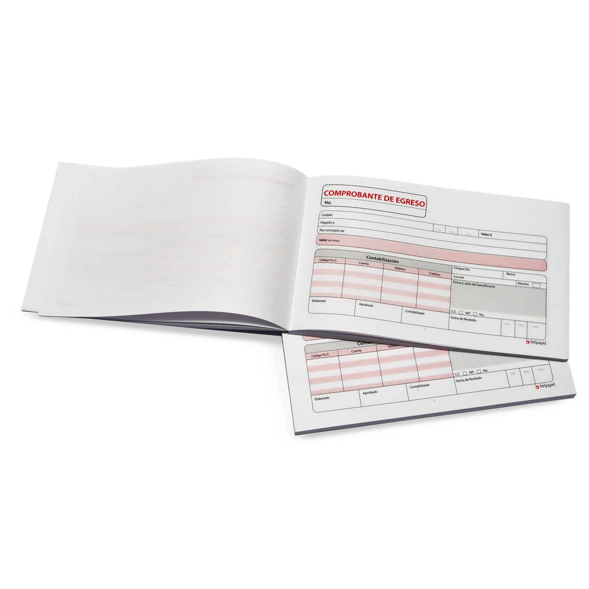 Comprobante de Egreso en Efectivo y Cheque