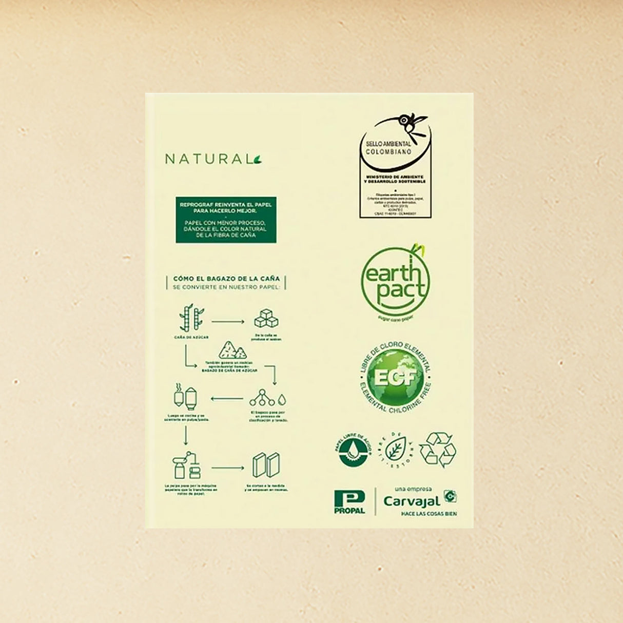 Earth Pact - ¡Últimos!