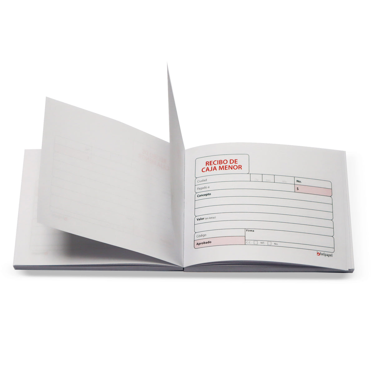Recibo de Caja Menor