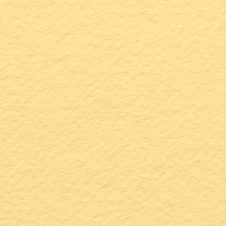 Prisma 220 g