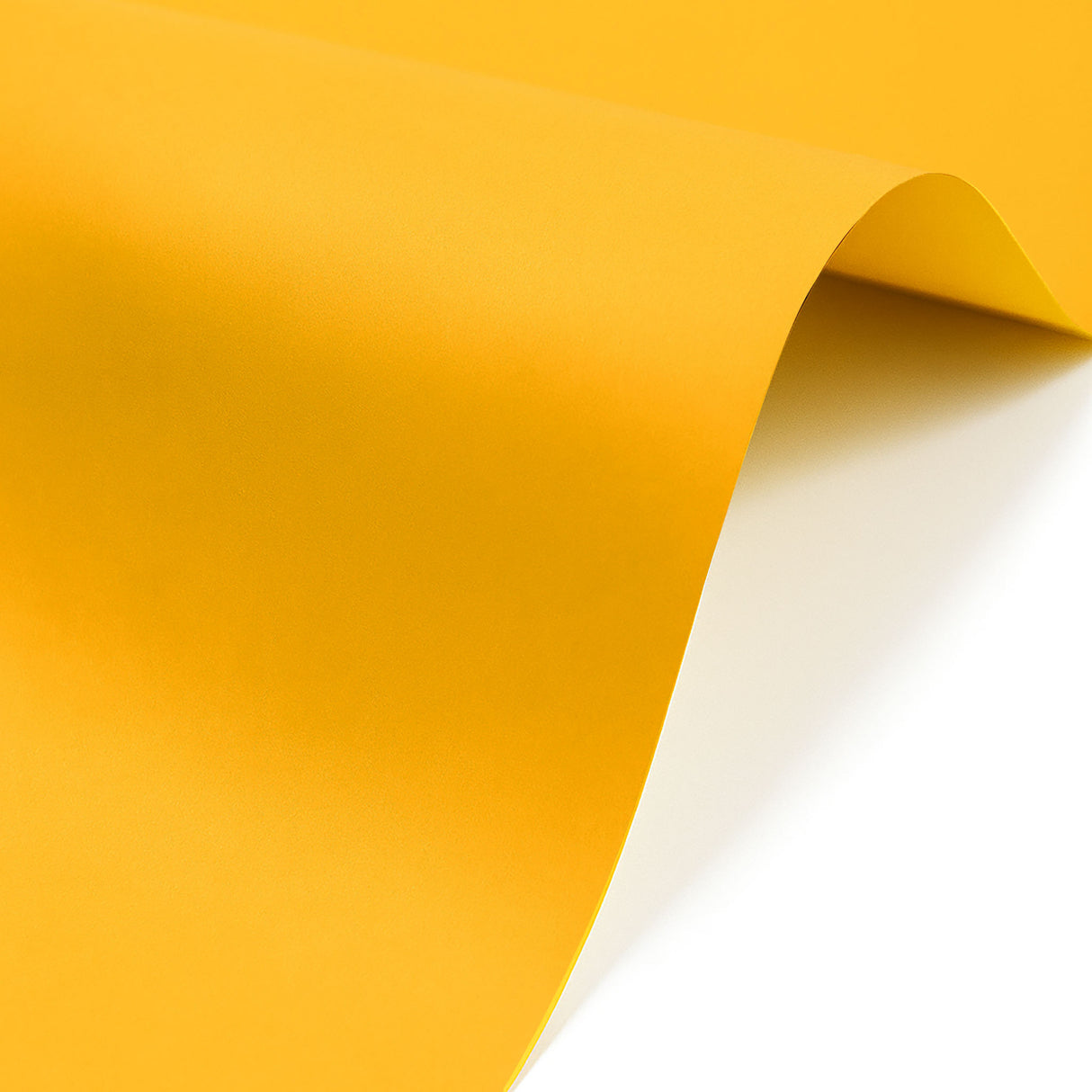 Paquete Cartulina Iris 100 Hojas