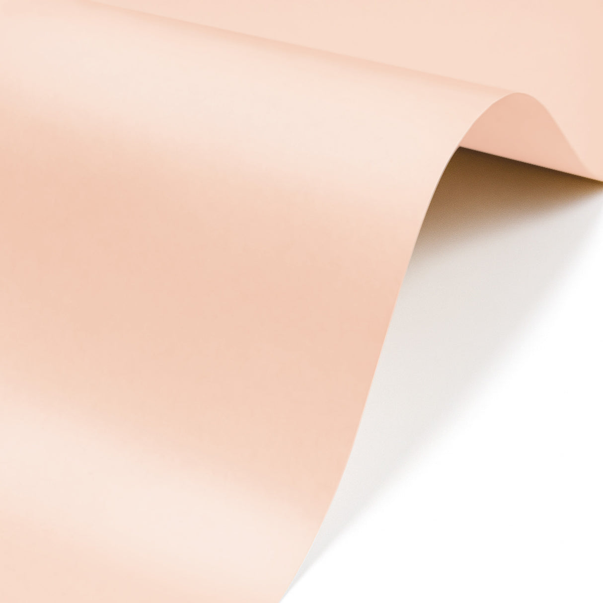 Paquete Cartulina Iris 100 Hojas