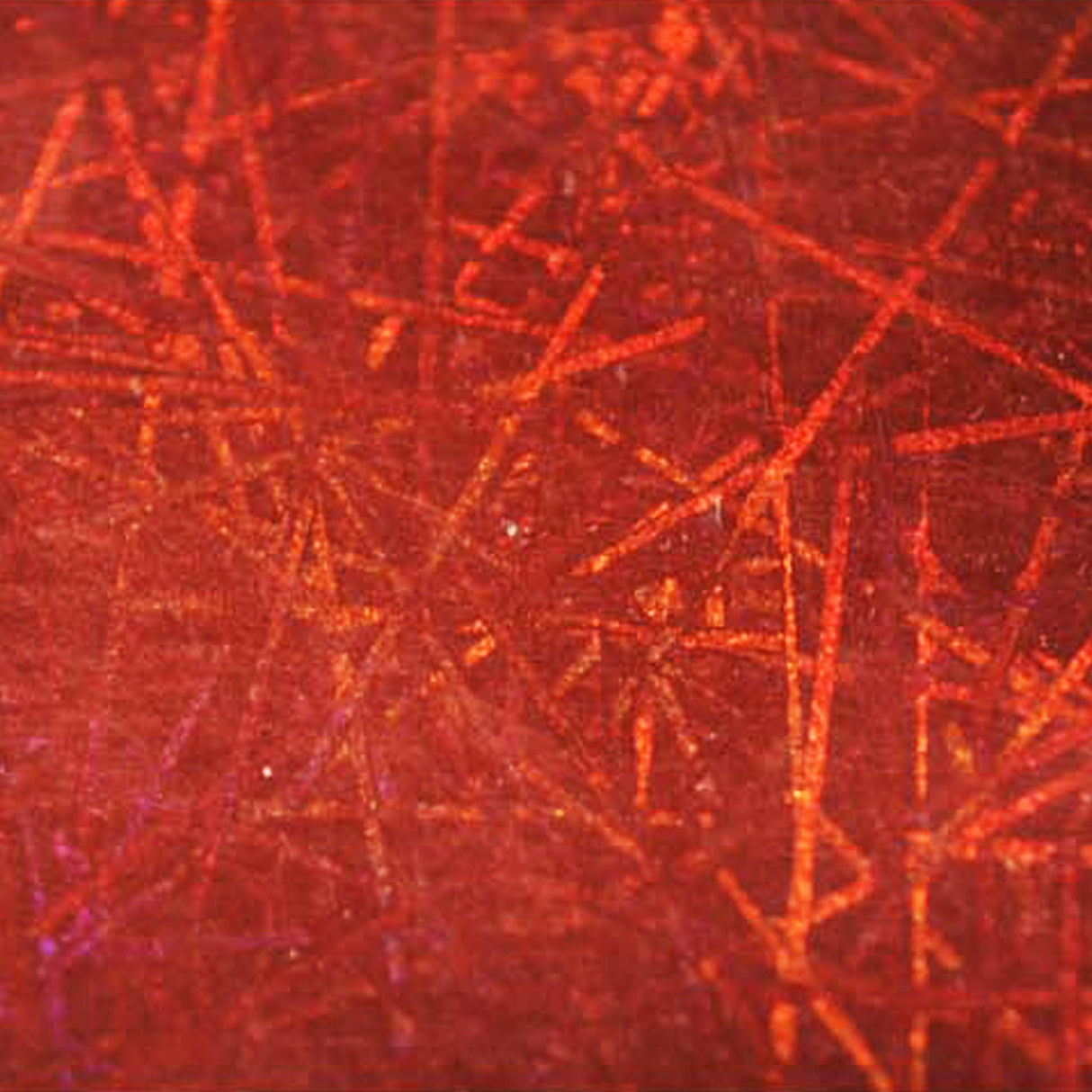 Cartulina Holográfica