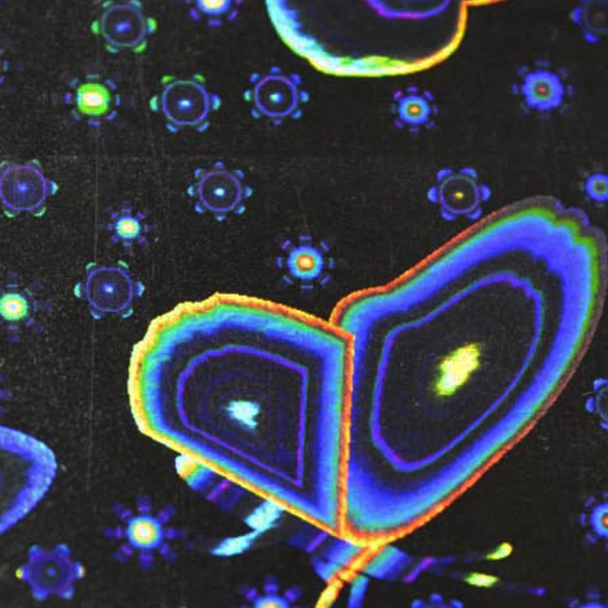 Cartulina Holográfica