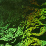 Cartulina Holográfica