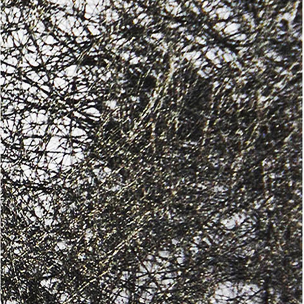 Papel Araña