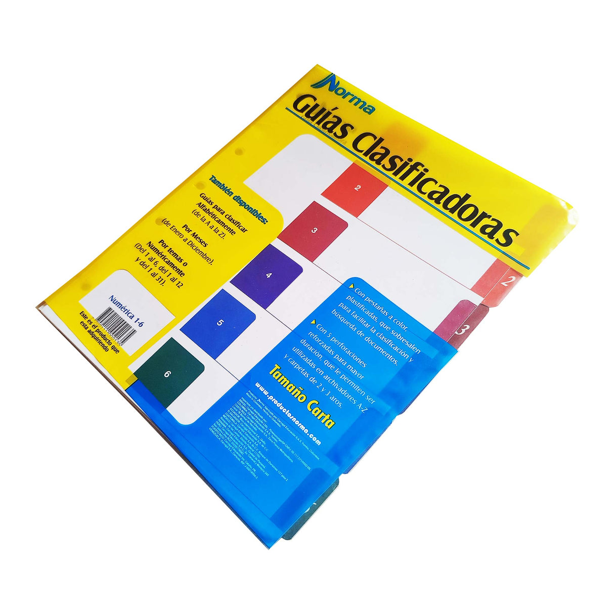 Guías Clasificadoras 1-6 Norma