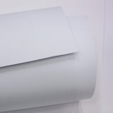 Paquete Prestige Carta 100 Hojas