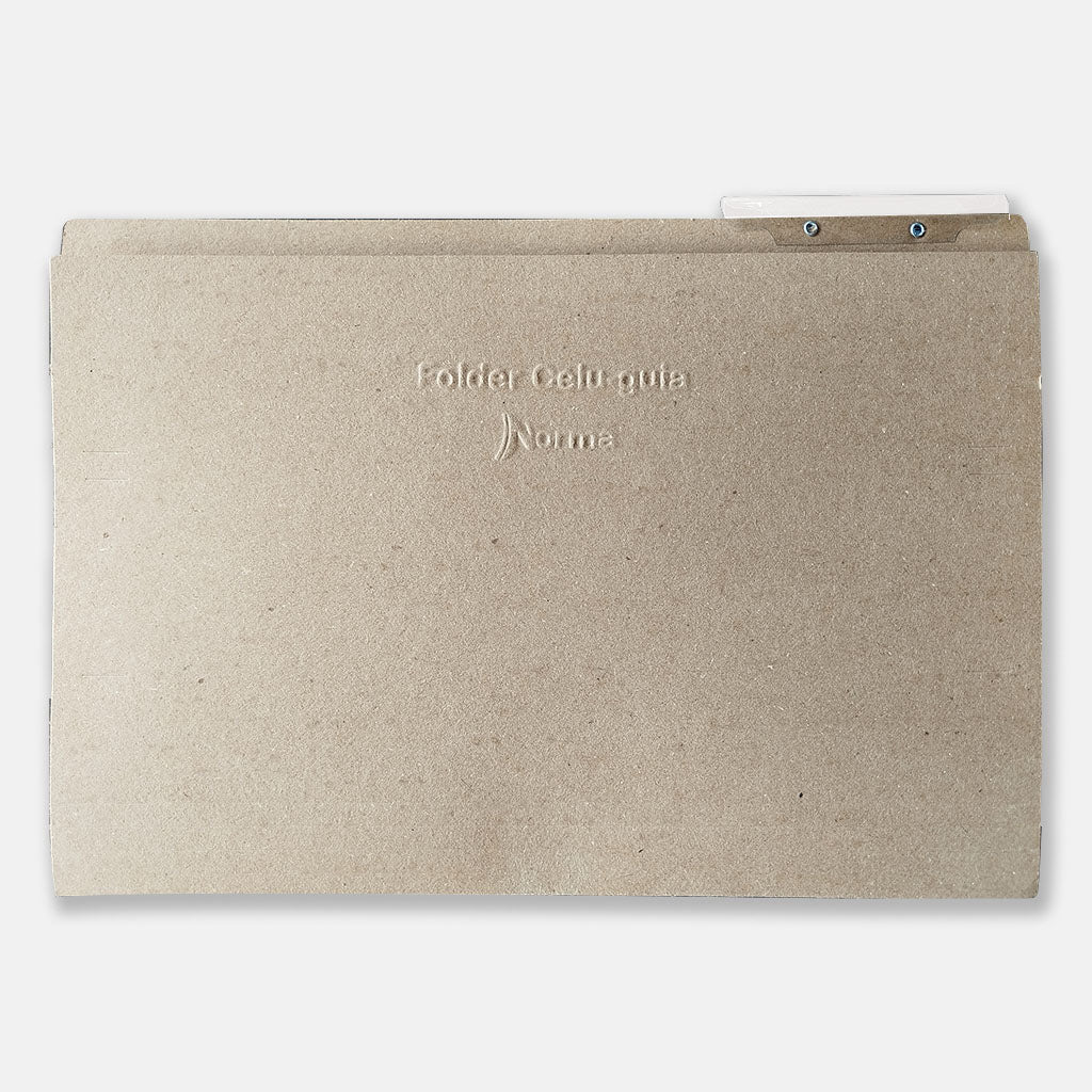 Celuguía Oficio Norma 263 g