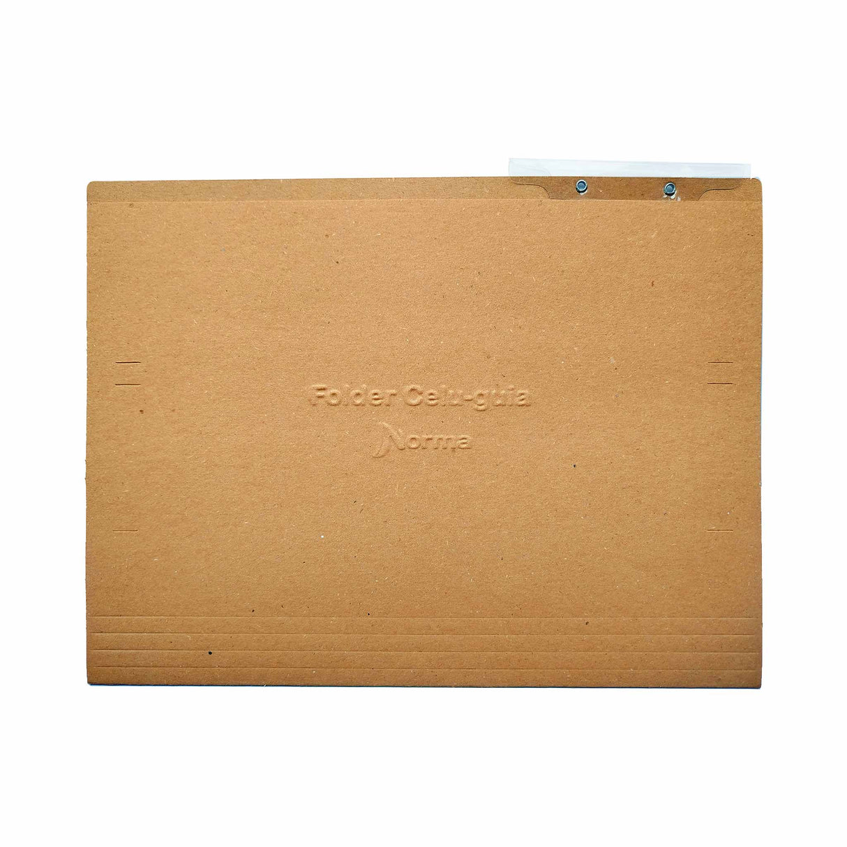 Celuguía Carta Norma