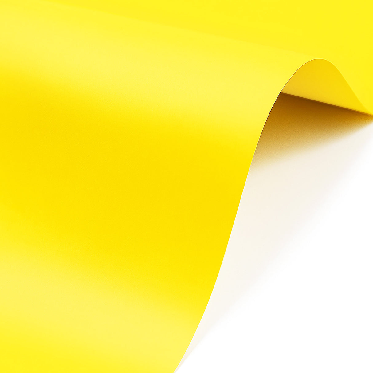 Papel Iris