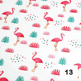 Celofán Estampado Catálogo 1