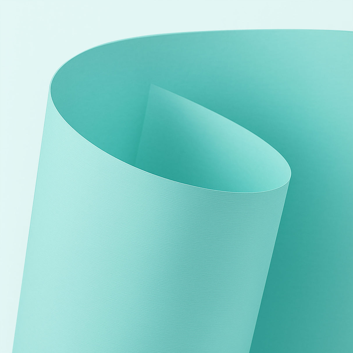 Verge Plus