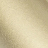 Seda Dorado y Plateado